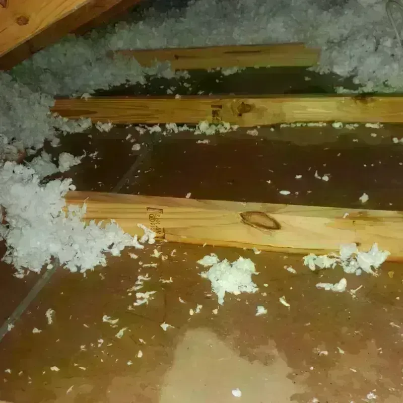 Attic Water Damage in Surrey, ND